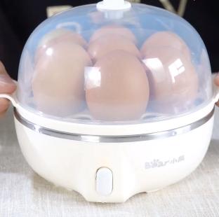 自制电动煮蛋器（用煮蛋器10分钟搞定新鲜的早餐）(6)